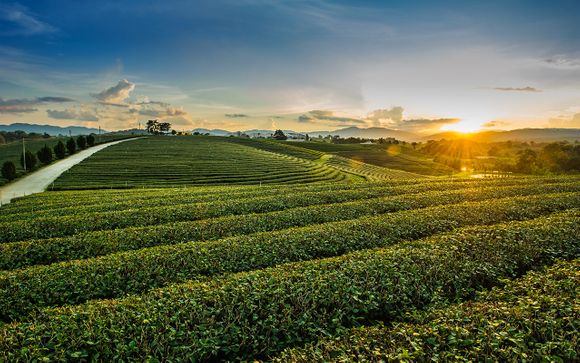 L'itinerario - 10 notti