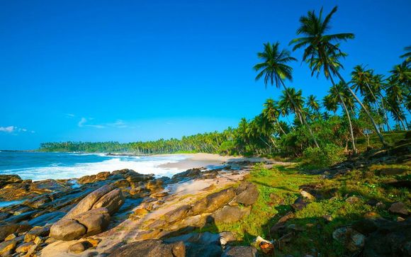Alla scoperta dello Sri Lanka