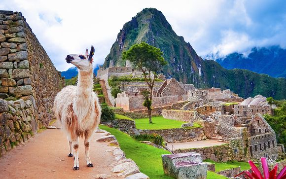 Tour del Perù con guida parlante italiano - Lima - Fino a -70% | Voyage Privé