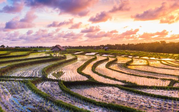 Alla scoperta dell'Indonesia