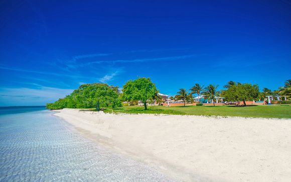 Blau Privilege Cayo Libertad 5*