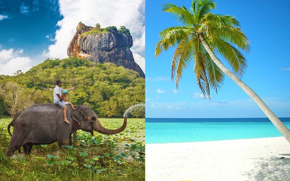 Tour privato dello Sri Lanka e soggiorno mare alle Maldive
