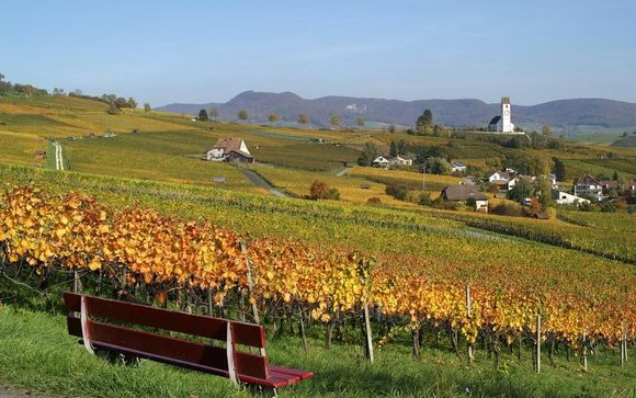 Alla scoperta di Schaffhausen