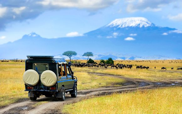 Safari alla scoperta del Kenya