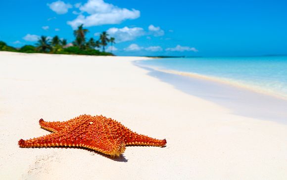 El Alma cubana di L'Avana e mare All Inclusive a Cayo S. Maria