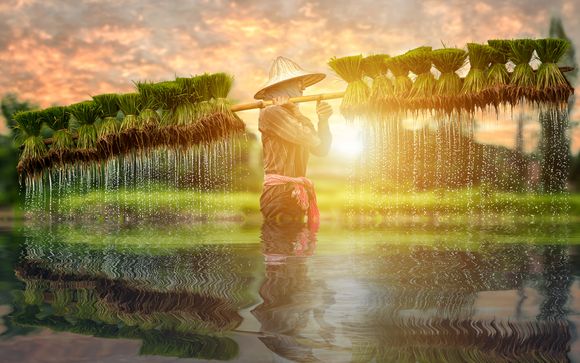 Vietnam autentico - Tour privato di 11 giorni con possibile estensione a Mui Ne
