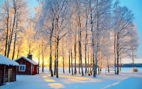 Rovaniemi, safari e cottage da fiaba