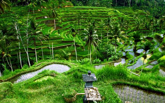 Alla scoperta dell'Indonesia