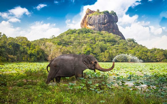 Alla scoperta dello Sri Lanka