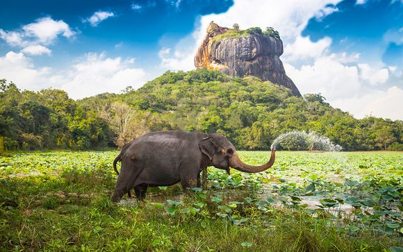 Alla scoperta dello Sri Lanka