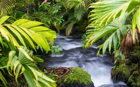 Kies voor een extra optie 