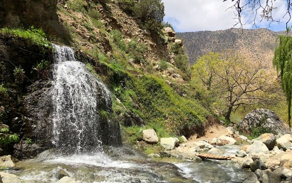 Inbegrepen excursies (afhankelijk van de verblijfsduur)