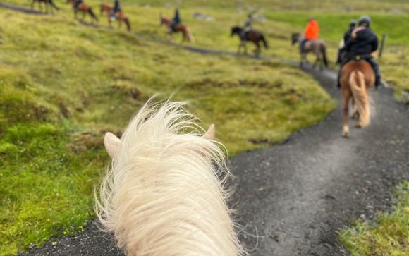 Optionele excursies