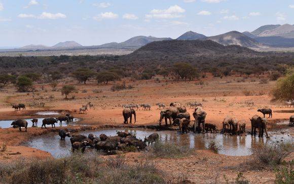 Welkom in... Kenia!