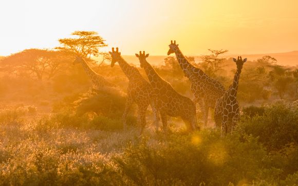 Welkom in... Kenia en Tanzania!
