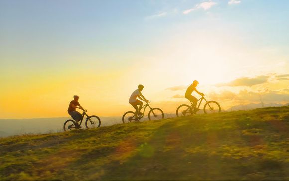 Uw optionele excursies