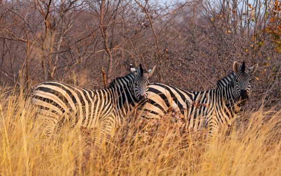 Uw optionele excursies