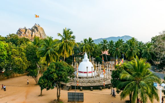 Uw optionele excursies