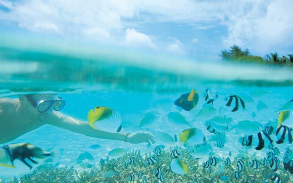 Uw optionele excursies