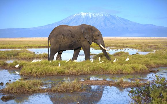 Reisprogramma safari