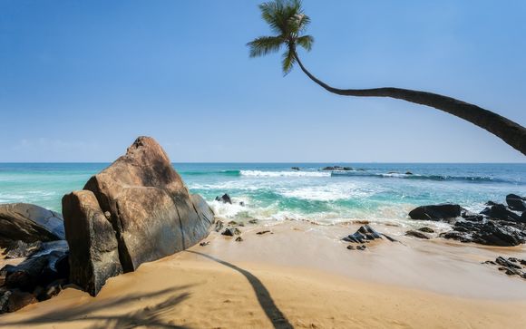 Welkom in... Hikaduwa!