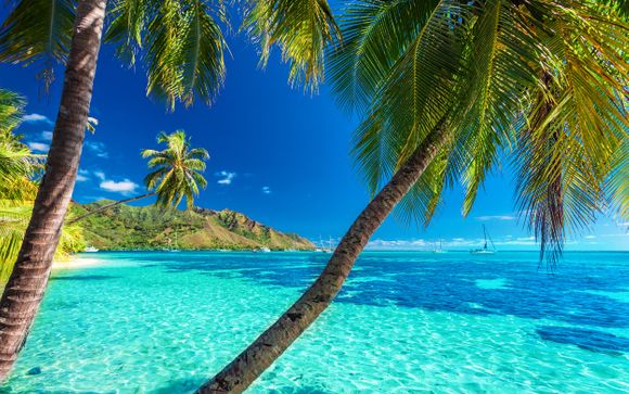 Welkom in Frans-Polynesië!