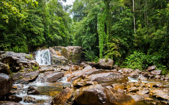 Uw optionele excursie