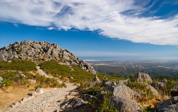 Uw optionele excursies