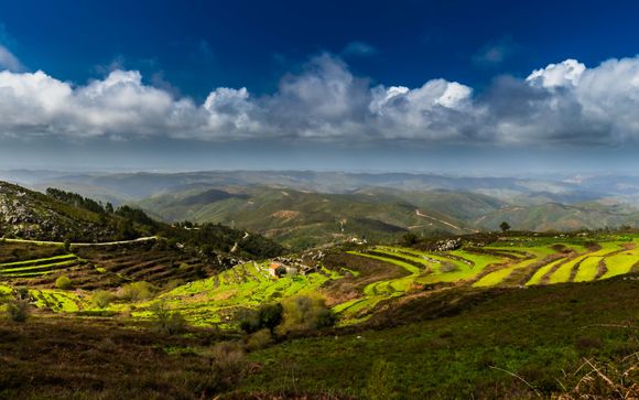 Kies voor een extra optie