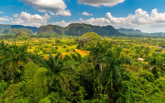 Kies voor een extra optie 