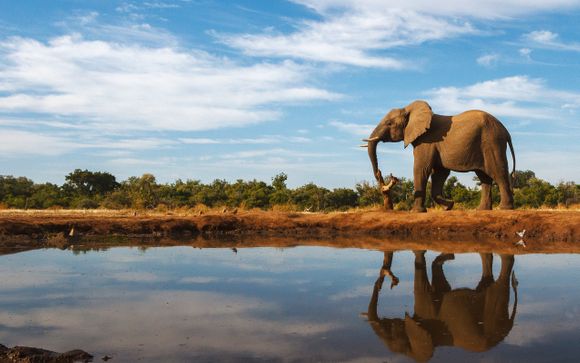 Welkom in ... Zuid-Afrika!