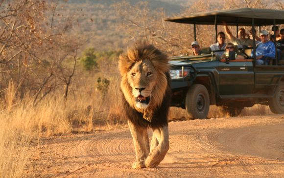 Welkom in... Zuid-Afrika!