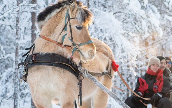 Kies voor een extra optie 