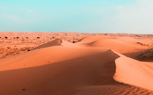 Welkom in... de Verenigde Arabische Emiraten!