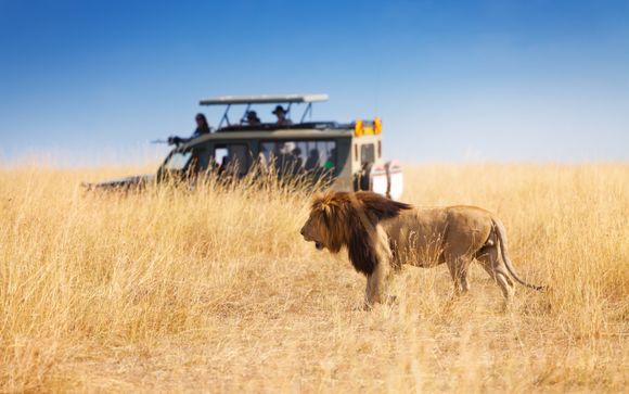 Reisbeschrijving van je safari van 4 of 6 nachten