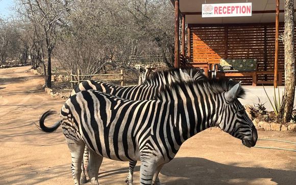 Kholiwe on Kruger Lodge 4*