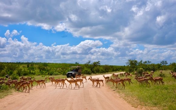 Je programma in de Kholiwe Kruger Lodge 4*
