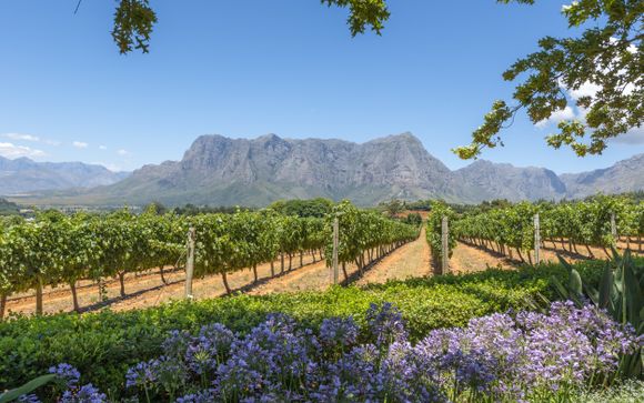 Welkom in... Zuid-Afrika!