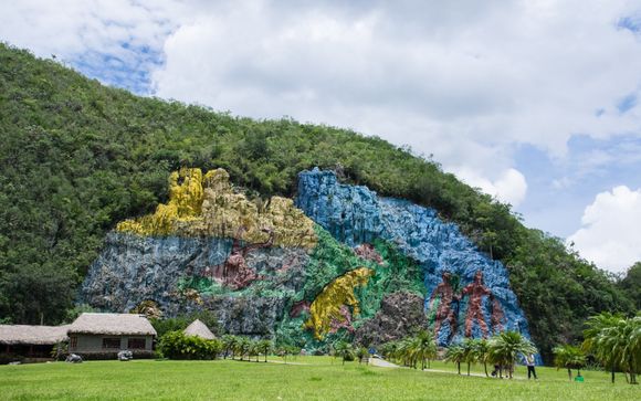 Kies voor een extra optie 