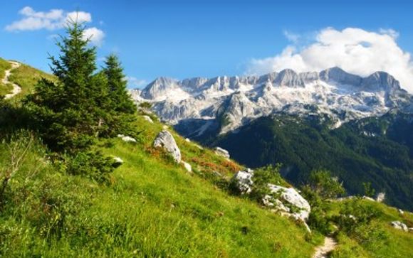 Welkom in... Flachau!