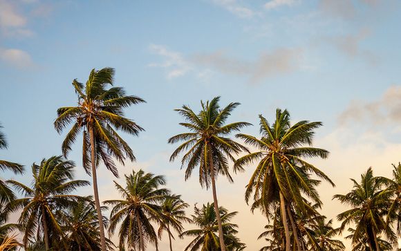 Welkom in ... Miami!