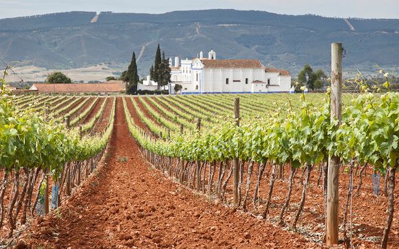 Welkom in... Alentejo!
