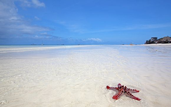 Welkom op... Zanzibar!