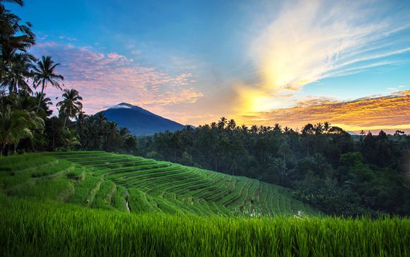 Welkom op... Bali!