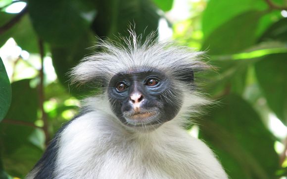 Uw excursies - in optie