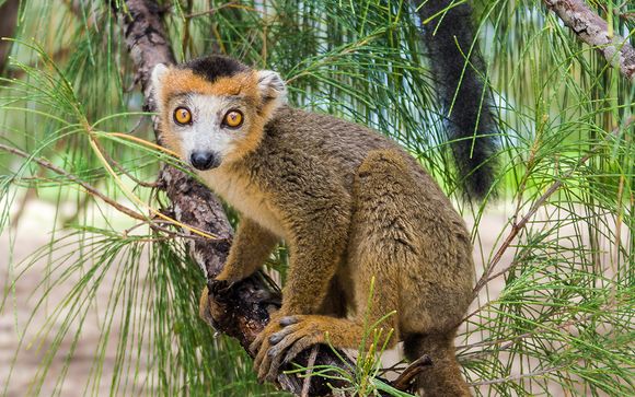 Welkom op... Madagascar