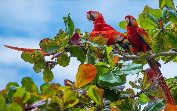Welkom in... Costa Rica