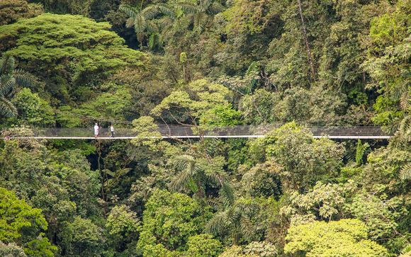 Uw programma van 9 nachten