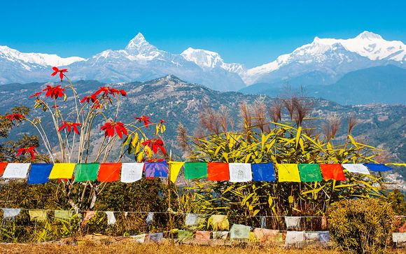 Uw programma voor 12 nachten