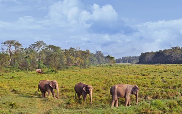 Uw programma voor 7 nachten